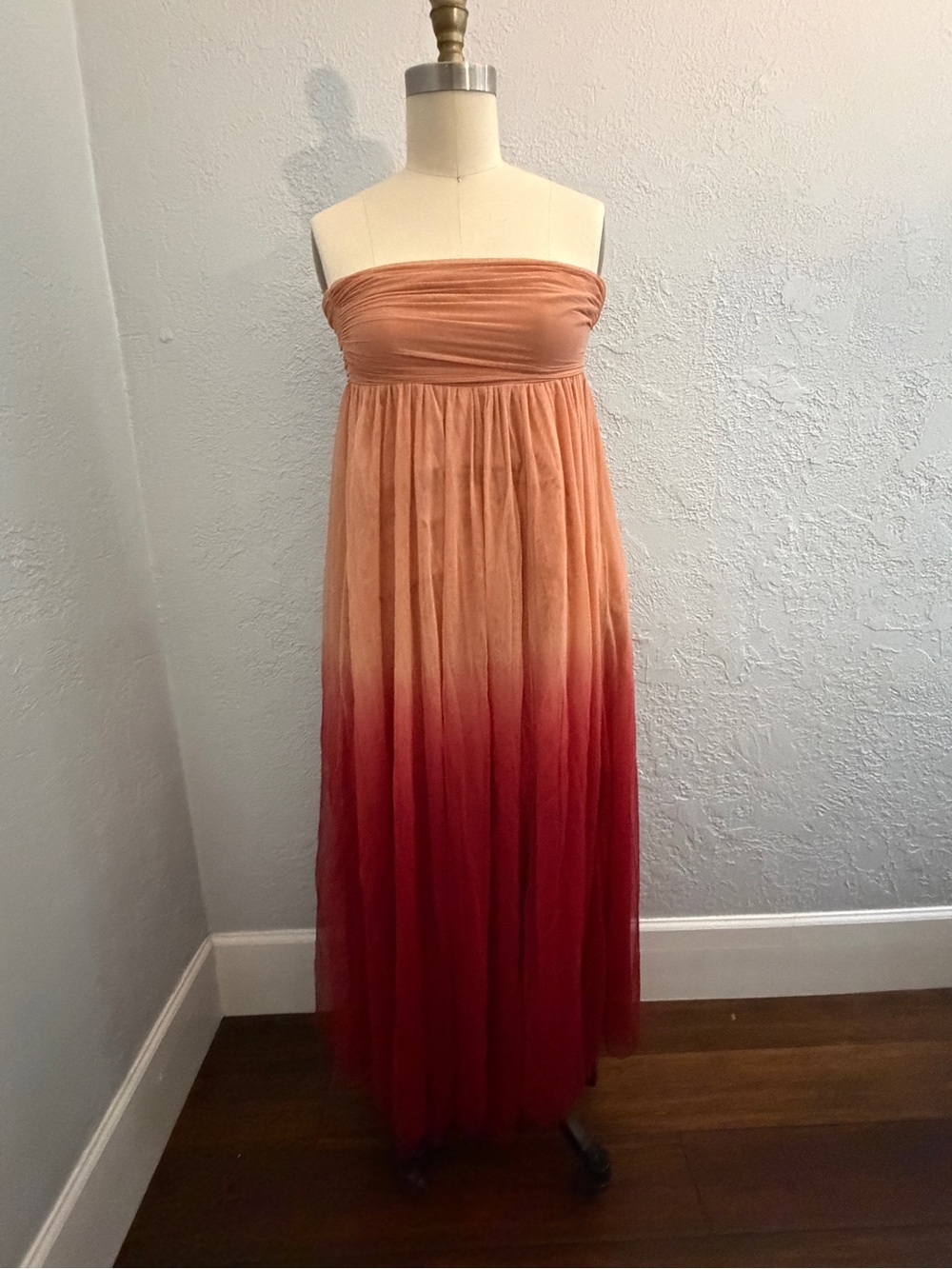 Ryu Ombre Strapless Maxi Dress | Size Small